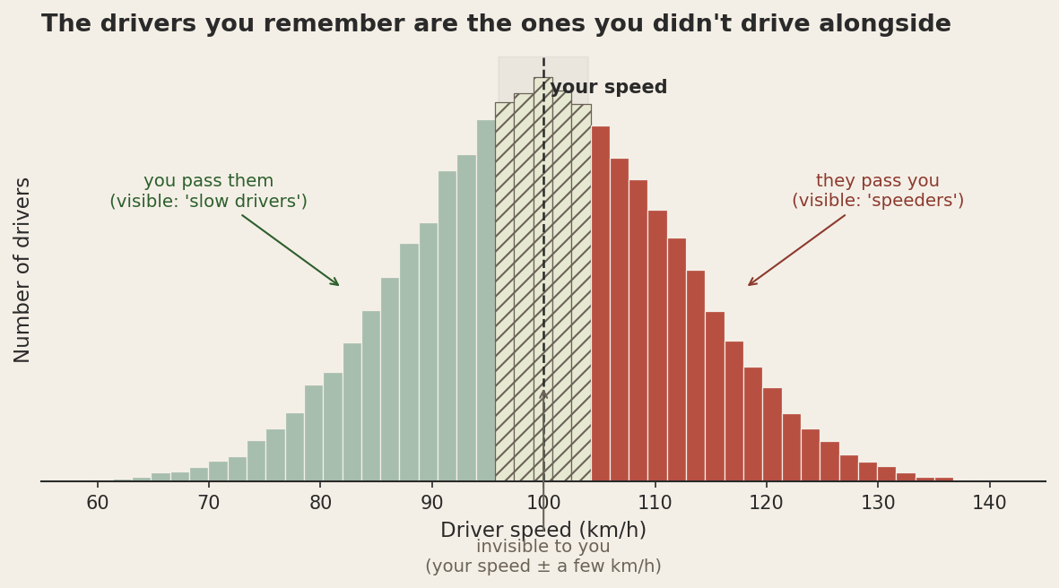 Thumbnail for Survivorship Bias: The Drivers You Never See